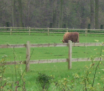 FIELD AFSLUITING